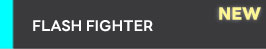 FLASH FIGHTER